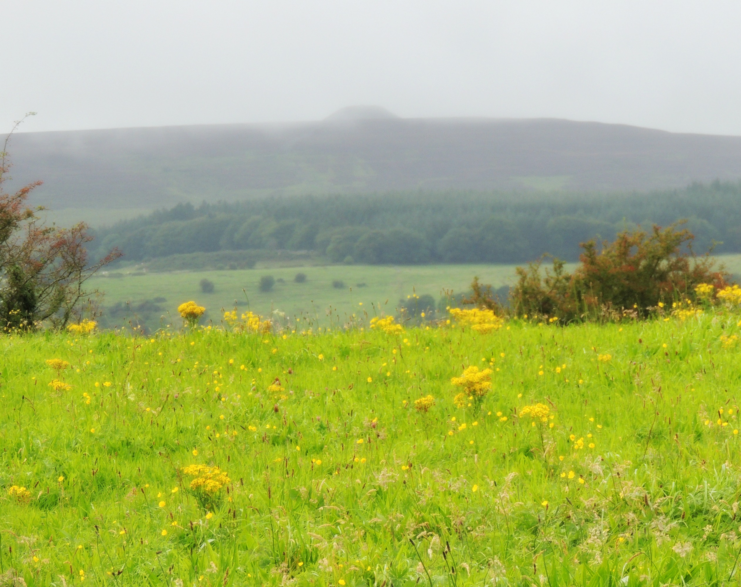 Carrowmore6 Mave's tomb