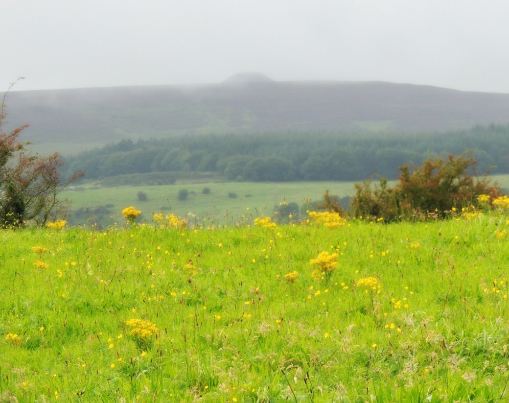 Carrowmore6 Mave's tomb